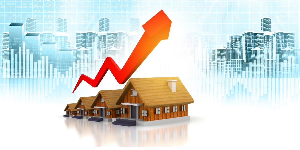 Nandi properties Logo